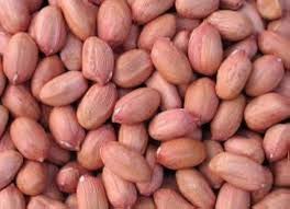 PEANUT RAW