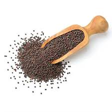 MUSTARD SEEDS
